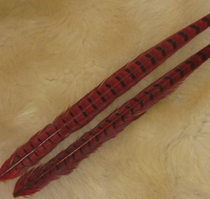 ringneck pheasant center tail  red Super Fly